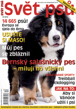 Fotogalerie