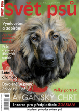Fotogalerie