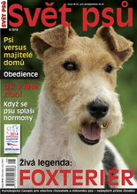 Fotogalerie