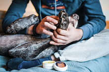 Fotogalerie