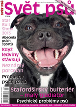 Fotogalerie
