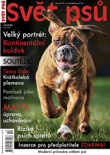 Fotogalerie