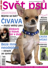 Fotogalerie