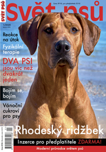 Fotogalerie