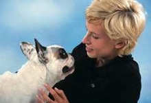 Fotogalerie