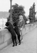 Fotogalerie