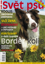 Fotogalerie