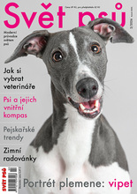 Fotogalerie
