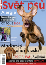 Fotogalerie