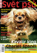 Fotogalerie
