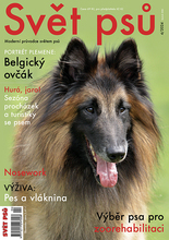 Fotogalerie