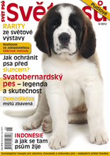 Fotogalerie