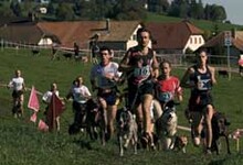 Fotogalerie