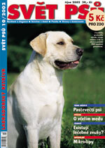 Fotogalerie