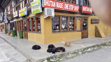 Fotogalerie