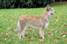 Fotogalerie
