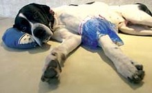 Fotogalerie