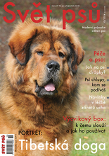 Fotogalerie