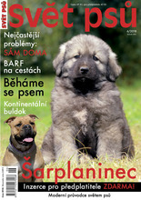 Fotogalerie