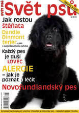 Fotogalerie