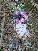 Fotogalerie