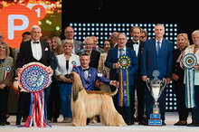 Fotogalerie