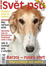 Fotogalerie