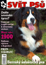 Fotogalerie