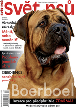 Fotogalerie