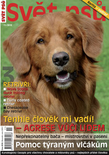 Fotogalerie