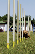 Fotogalerie