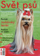 Fotogalerie