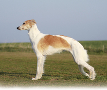 Fotogalerie