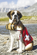 Fotogalerie