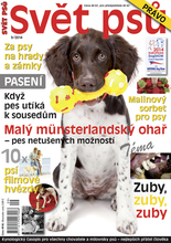 Fotogalerie