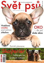 Fotogalerie