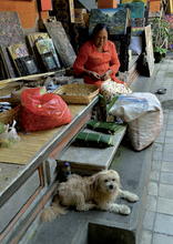 Fotogalerie