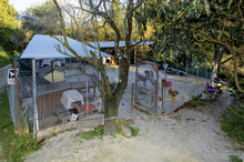 Fotogalerie