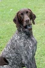 Fotogalerie