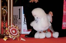 Fotogalerie