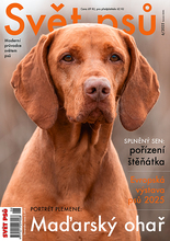 Fotogalerie