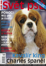 Fotogalerie