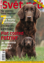 Fotogalerie