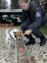 Fotogalerie