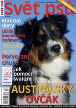Fotogalerie