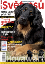 Fotogalerie