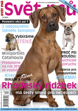 Fotogalerie