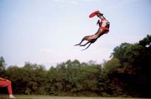 Fotogalerie