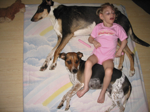 Fotogalerie