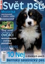 Fotogalerie